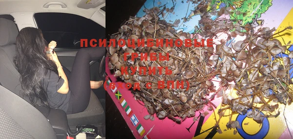 mdma Абаза