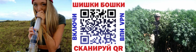 наркотики  Боровичи  Канабис марихуана 